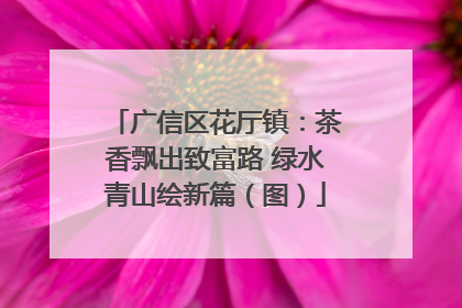 广信区花厅镇：茶香飘出致富路 绿水青山绘新篇（图）