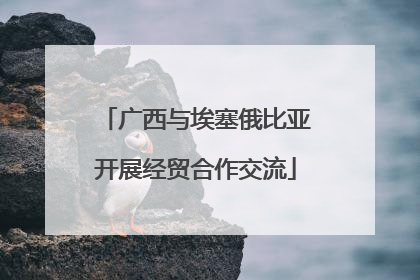 广西与埃塞俄比亚开展经贸合作交流