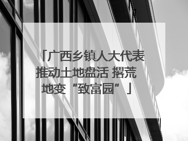 广西乡镇人大代表推动土地盘活 撂荒地变“致富园”