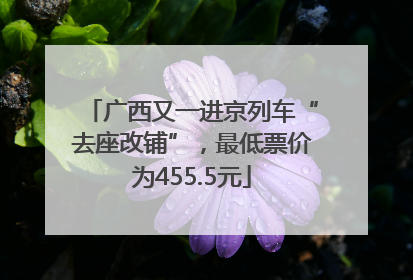 广西又一进京列车“去座改铺”，最低票价为455.5元