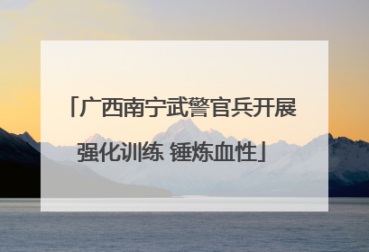 广西南宁武警官兵开展强化训练 锤炼血性