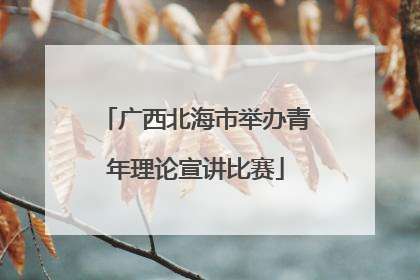 广西北海市举办青年理论宣讲比赛