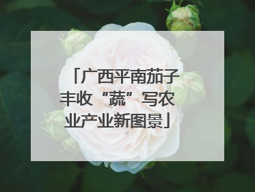广西平南茄子丰收“蔬”写农业产业新图景