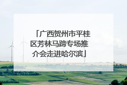 广西贺州市平桂区芳林马蹄专场推介会走进哈尔滨
