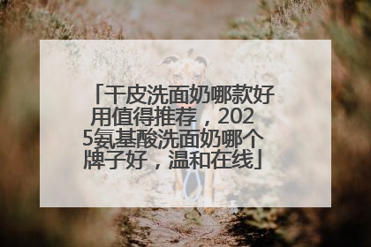 干皮洗面奶哪款好用值得推荐，2025氨基酸洗面奶哪个牌子好，温和在线
