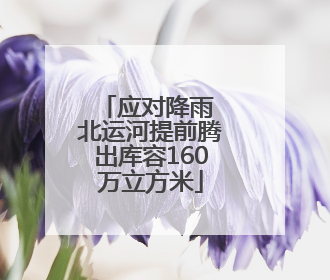 应对降雨 北运河提前腾出库容160万立方米