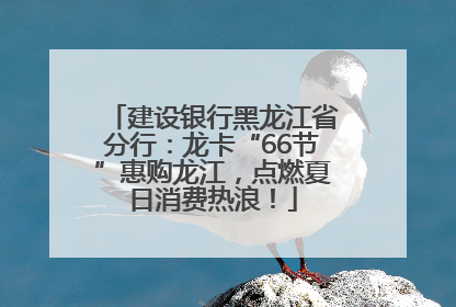 建设银行黑龙江省分行：龙卡“66节”惠购龙江，点燃夏日消费热浪！