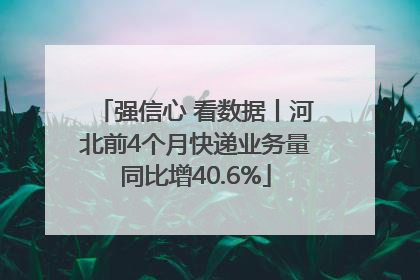 强信心 看数据丨河北前4个月快递业务量同比增40.6%