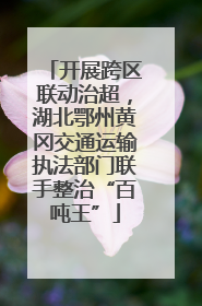 开展跨区联动治超，湖北鄂州黄冈交通运输执法部门联手整治“百吨王”