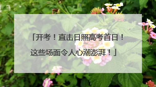 开考！直击日照高考首日！这些场面令人心潮澎湃！