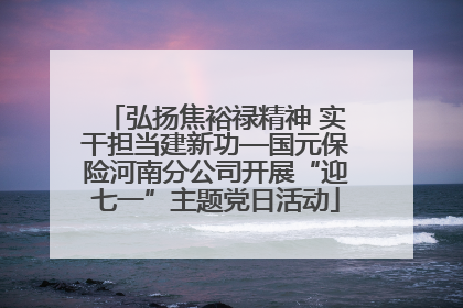 弘扬焦裕禄精神 实干担当建新功—国元保险河南分公司开展“迎七一”主题党日活动