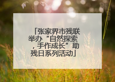 张家界市残联举办“自然探索，手作成长”助残日系列活动