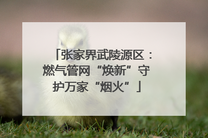 张家界武陵源区：燃气管网“焕新”守护万家“烟火”