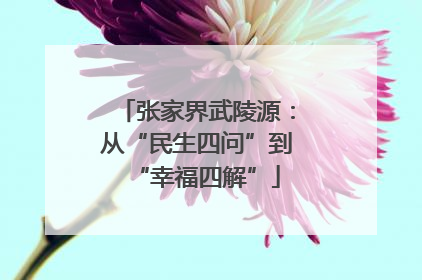 张家界武陵源：从“民生四问”到“幸福四解”