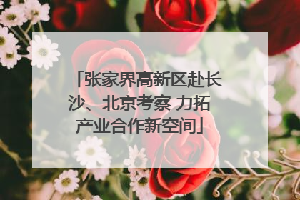 张家界高新区赴长沙、北京考察 力拓产业合作新空间