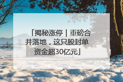 揭秘涨停｜重磅合并落地，这只股封单资金超30亿元