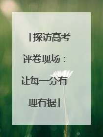 探访高考评卷现场：让每一分有理有据