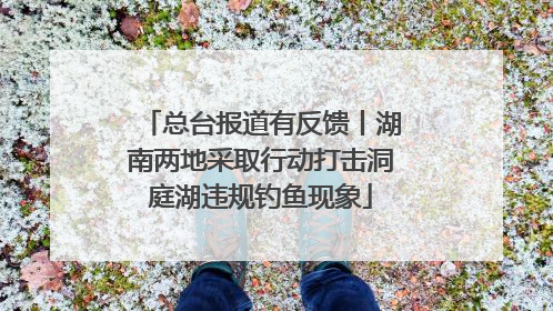 总台报道有反馈丨湖南两地采取行动打击洞庭湖违规钓鱼现象