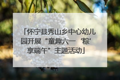 怀宁县秀山乡中心幼儿园开展“童趣六一‘粽’享端午”主题活动