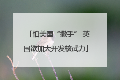 怕美国“撒手” 英国欲加大开发核武力