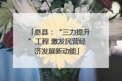 息县：“三力提升”工程 激发民营经济发展新动能