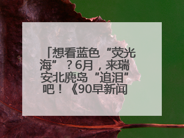想看蓝色“荧光海”？6月，来瑞安北麂岛“追泪”吧！《90早新闻》来了