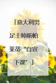 意大利男足主帅斯帕莱蒂“自宣下课”
