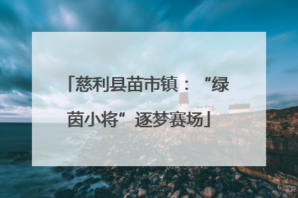 慈利县苗市镇：“绿茵小将”逐梦赛场