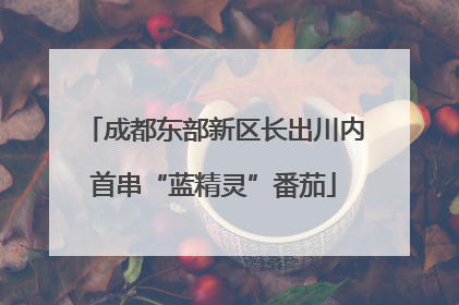 成都东部新区长出川内首串“蓝精灵”番茄