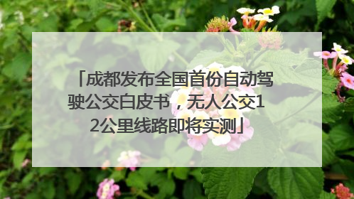 成都发布全国首份自动驾驶公交白皮书，无人公交12公里线路即将实测