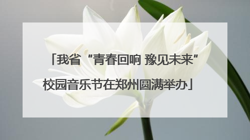 我省“青春回响 豫见未来”校园音乐节在郑州圆满举办