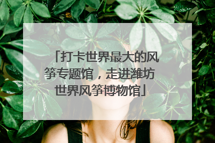 打卡世界最大的风筝专题馆，走进潍坊世界风筝博物馆