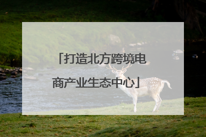 打造北方跨境电商产业生态中心