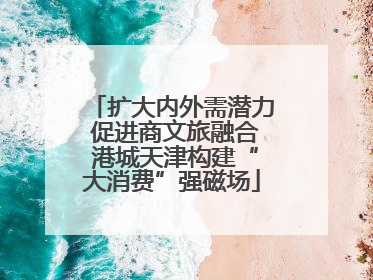 扩大内外需潜力 促进商文旅融合 港城天津构建“大消费”强磁场