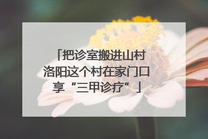 把诊室搬进山村 洛阳这个村在家门口享“三甲诊疗”