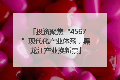 投资聚焦“4567”现代化产业体系，黑龙江产业换新景