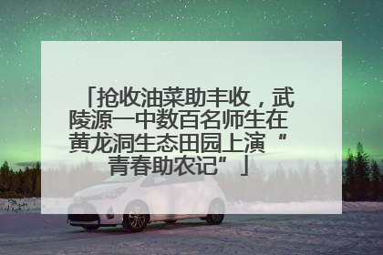 抢收油菜助丰收，武陵源一中数百名师生在黄龙洞生态田园上演“青春助农记”