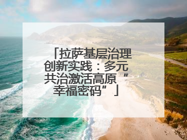 拉萨基层治理创新实践：多元共治激活高原“幸福密码”