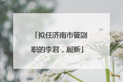 拟任济南市管副职的李君，履新