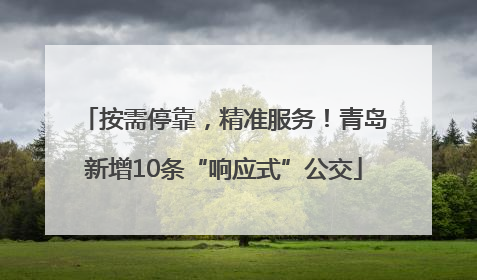 按需停靠，精准服务！青岛新增10条“响应式”公交