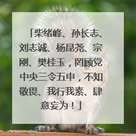 柴绪峰、孙长志、刘志诚、杨昆尧、宗刚、樊桂玉，罔顾党中央三令五申，不知敬畏、我行我素、肆意妄为！