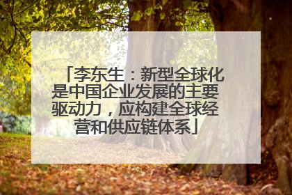 李东生：新型全球化是中国企业发展的主要驱动力，应构建全球经营和供应链体系