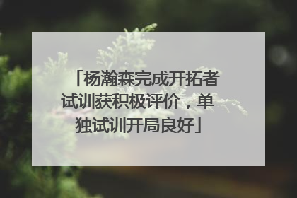 杨瀚森完成开拓者试训获积极评价，单独试训开局良好