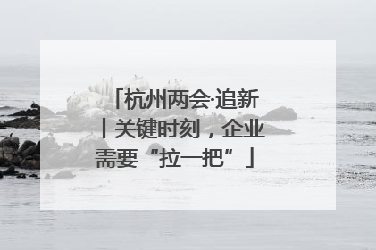 杭州两会·追新丨关键时刻，企业需要“拉一把”