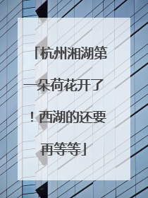 杭州湘湖第一朵荷花开了！西湖的还要再等等