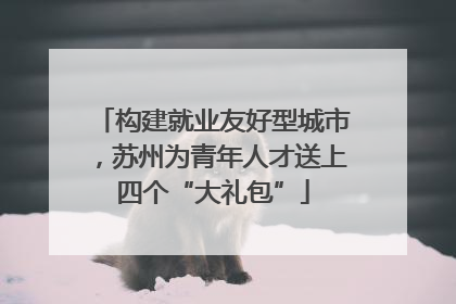 构建就业友好型城市，苏州为青年人才送上四个“大礼包”