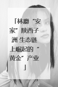 林麝“安家”陕西子洲 生态链上崛起的“黄金”产业