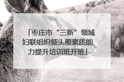 枣庄市“三新”领域妇联组织领头雁素质能力提升培训班开班