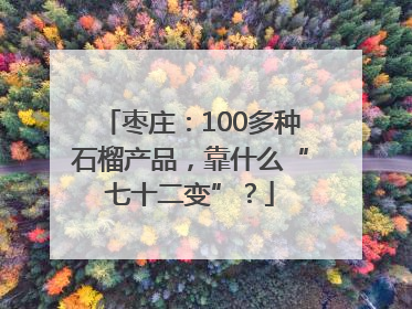 枣庄：100多种石榴产品，靠什么“七十二变”？