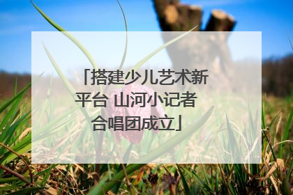 搭建少儿艺术新平台 山河小记者合唱团成立